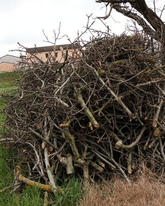 Legna da ardere
