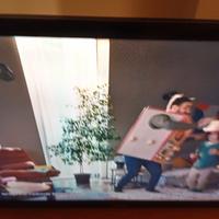 TV lg 29 pollici full HD 