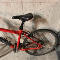 Bici Specialized Donna