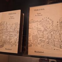 Libro TRILUSSA con custodia, da collezione