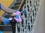 Immagine 1