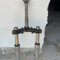 forcelle sh 300