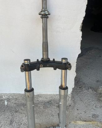 forcelle sh 300