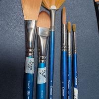 Lotto pennelli acquarelli Winsor e Newton Cotman