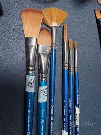 Lotto pennelli acquarelli Winsor e Newton Cotman