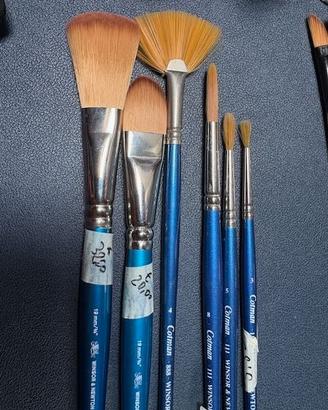 Lotto pennelli acquarelli Winsor e Newton Cotman