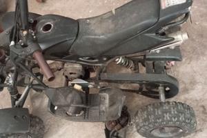 Quad 50
