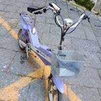 bicicletta elettrica 