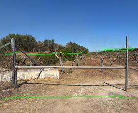 Terreno Agricolo con Rustico Secolare accatastato