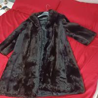 pelliccia puro castorino