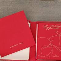 libro Antonio Nocera Cappuccetto Rosso