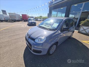 FIAT Panda 1.0 firefly hybrid s&s 70cv 5p.ti