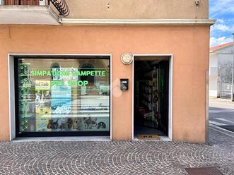 NEGOZIO A SAN GIORGIO DI NOGARO