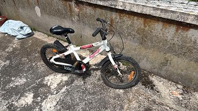 biciletta marca bianchi
