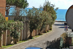 Trilocale vicino al mare Nettuno