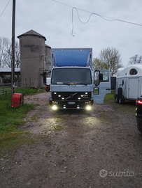 Camion trasporto cavalli