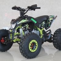 Mini Quad Egl 125cc mod. Pro Spedizione gratis