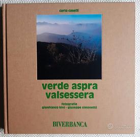Gianfranco Bini: Verde aspra Valsessera - 1995