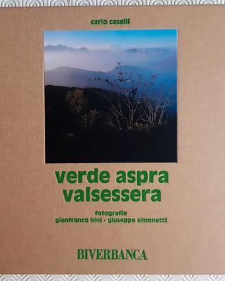 Gianfranco Bini: Verde aspra Valsessera - 1995