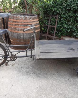 Bici rara