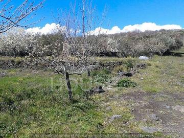 Ragalna - terreno pianeggiante id: ra090t