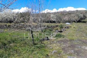 Ragalna - terreno pianeggiante id: ra090t