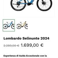 Bicicletta elettrica