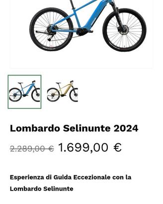 Bicicletta elettrica