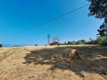 TERRENO AGRICOLO - Contrada le Murate - BENEVENTO