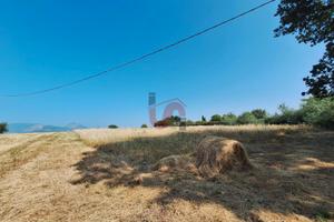 TERRENO AGRICOLO - Contrada le Murate - BENEVENTO