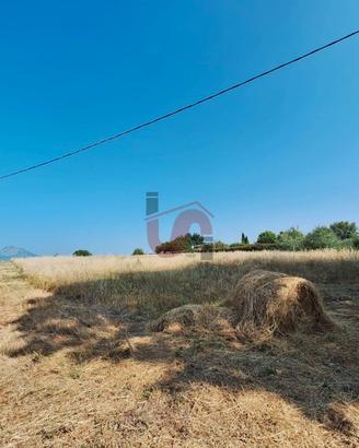 TERRENO AGRICOLO - Contrada le Murate - BENEVENTO