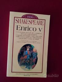 libro di letteratura 