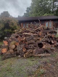 Legna da ardere