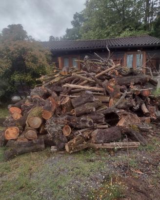 Legna da ardere