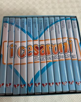 I Cesaroni stagione 1 prima stagione 13 DVD cofane