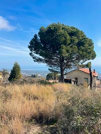 Villa singola su due livelli con terreno