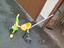Immagine 2