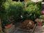 Immagine 12