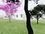 Immagine 30