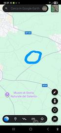Uliveto tra vernole e calimera