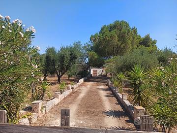 Terreno con casa
