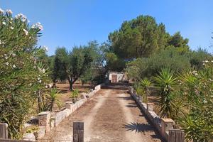 Terreno con casa