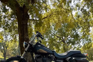 Harley Davidson