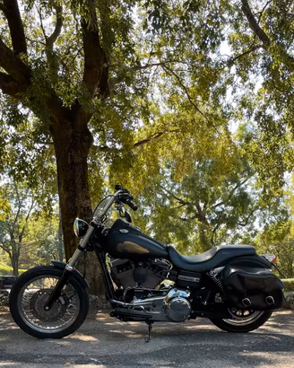 Harley Davidson