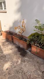 5 vasi / fioriere di terracotta a Roma Centro