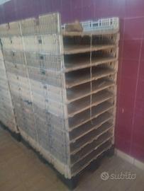 CASSETTE PER L'ESSICCAZIONE DI UVA E FRUTTA