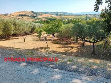 Terreno agricolo Alanno 4500mq