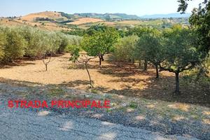 Terreno agricolo Alanno 4500mq