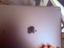 Immagine 3