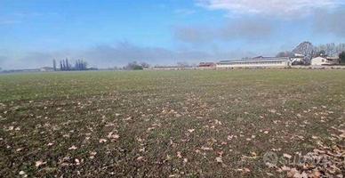 RGE 381/2023 Tribunale Verona Lotto 1)